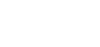 NLS Lightning logo
