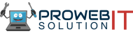 Pro Web IT Solution logo